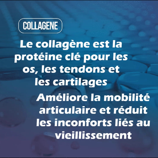 https://cdn.dropmagic.ai/medias/80b76739-41a8-4bec-8a5d-77d3e54ad5c5.webp